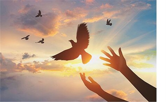 热烈祝贺经贸物流系严妍、刘志清老师被评为千亿体育在线先进工作者